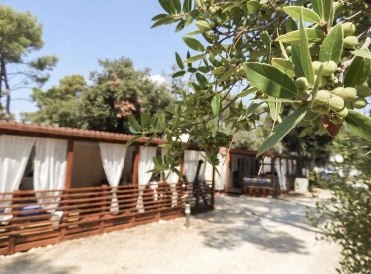 Mobile Home Cube, 3 Bedrooms, Free Parking, Wifi Biograd Na Moru Exterior photo